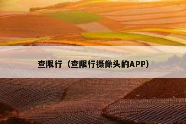 查限行（查限行摄像头的APP）  第1张