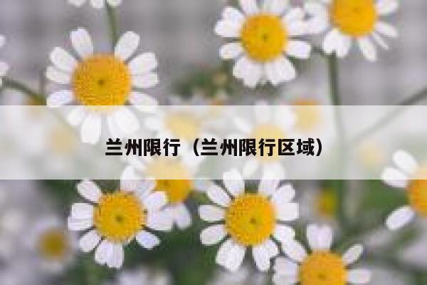 兰州限行（兰州限行区域）  第1张