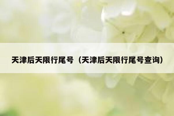 天津后天限行尾号（天津后天限行尾号查询）  第1张