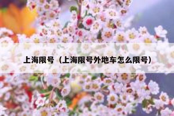 上海限号（上海限号外地车怎么限号）  第1张