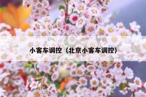 小客车调控（北京小客车调控）  第1张