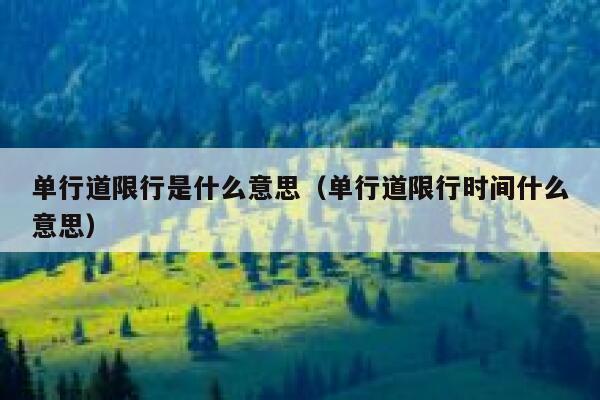 单行道限行是什么意思（单行道限行时间什么意思）  第1张