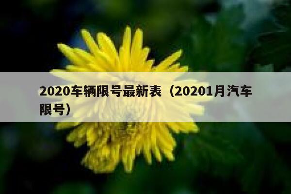 2020车辆限号最新表（20201月汽车限号）  第1张