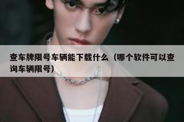 查车牌限号车辆能下载什么（哪个软件可以查询车辆限号）  第1张