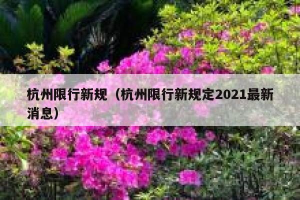 杭州限行新规（杭州限行新规定2021最新消息）  第1张