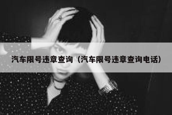 汽车限号违章查询（汽车限号违章查询电话）  第1张