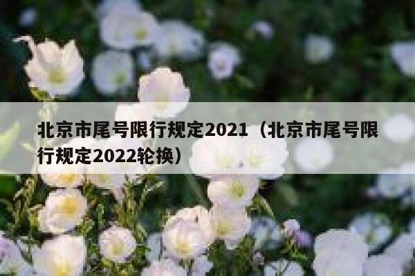 北京市尾号限行规定2021（北京市尾号限行规定2022轮换）  第1张