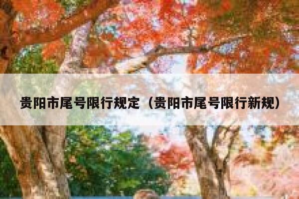 贵阳市尾号限行规定（贵阳市尾号限行新规）  第1张