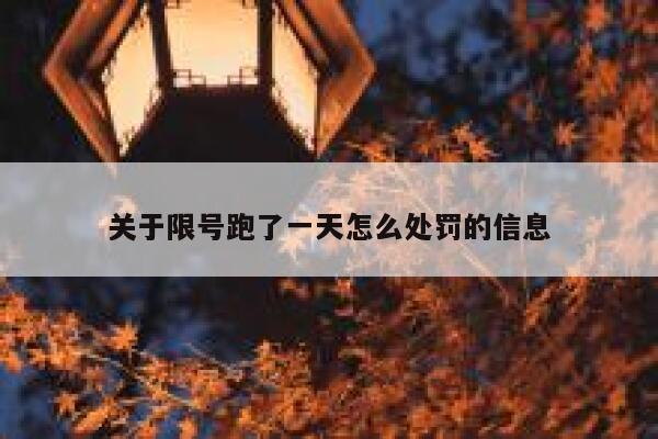 关于限号跑了一天怎么处罚的信息  第1张