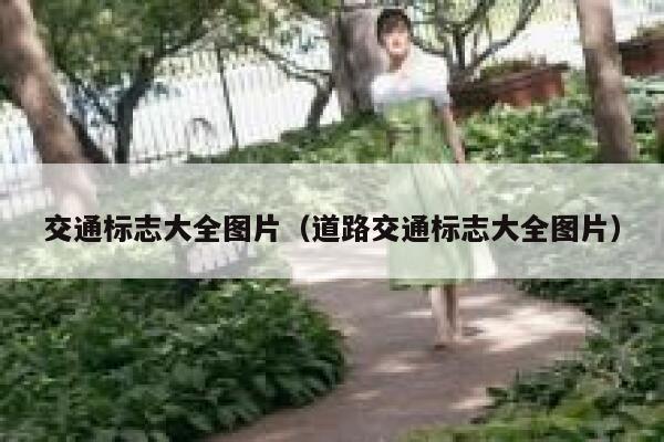 交通标志大全图片（道路交通标志大全图片）  第1张