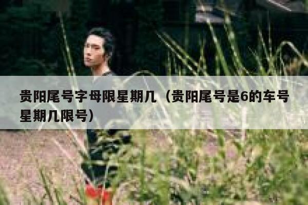 贵阳尾号字母限星期几（贵阳尾号是6的车号星期几限号）  第1张