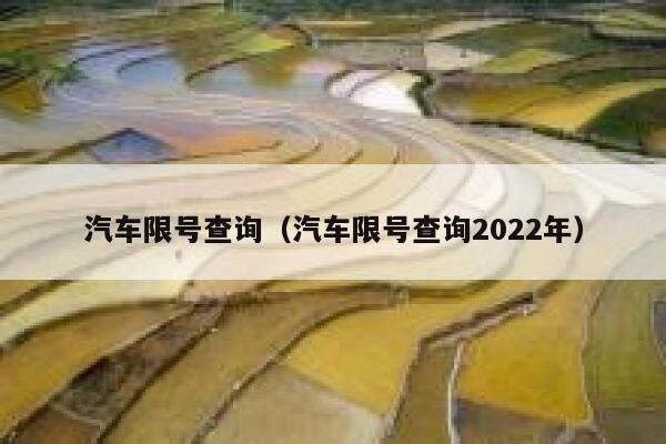汽车限号查询（汽车限号查询2022年）  第1张