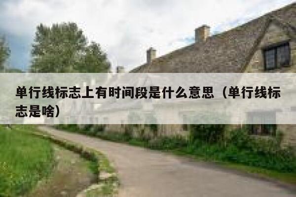 单行线标志上有时间段是什么意思（单行线标志是啥）  第1张