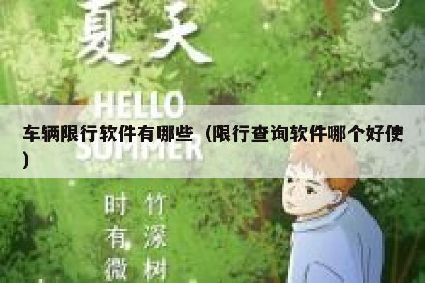 车辆限行软件有哪些（限行查询软件哪个好使）  第1张
