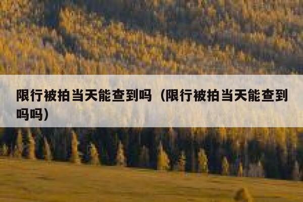 限行被拍当天能查到吗（限行被拍当天能查到吗吗）  第1张