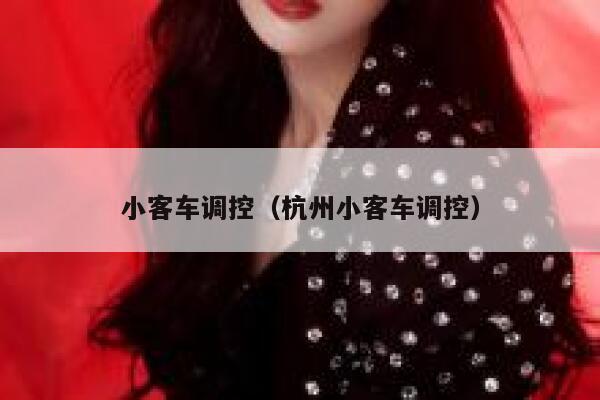 小客车调控（杭州小客车调控）  第1张