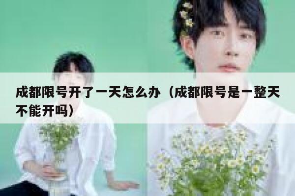 成都限号开了一天怎么办（成都限号是一整天不能开吗）  第1张