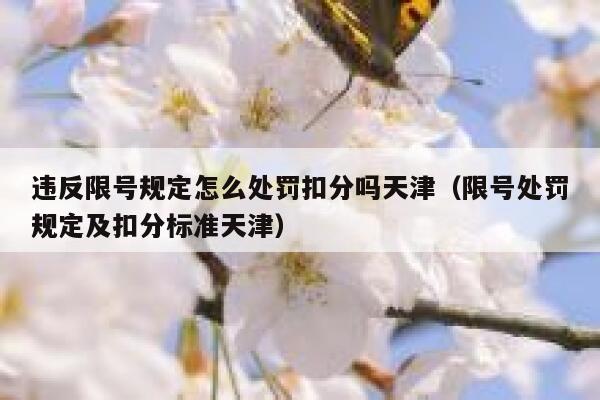 违反限号规定怎么处罚扣分吗天津（限号处罚规定及扣分标准天津）  第1张