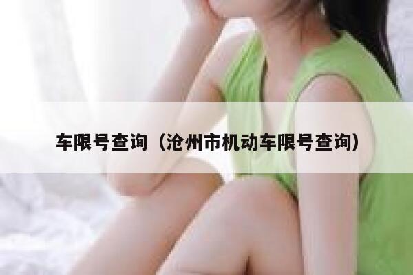 车限号查询（沧州市机动车限号查询）  第1张