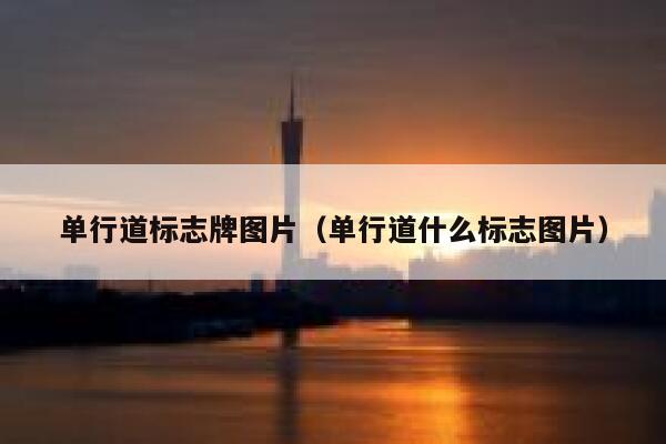 单行道标志牌图片（单行道什么标志图片）  第1张