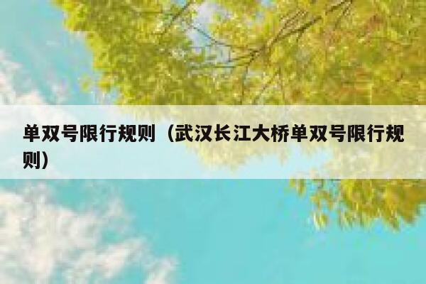 单双号限行规则（武汉长江大桥单双号限行规则）  第1张