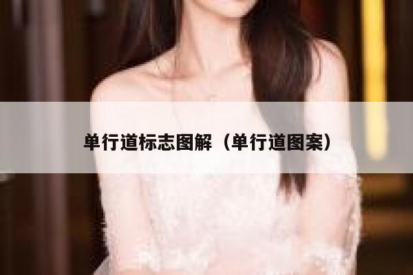 单行道标志图解（单行道图案）  第1张