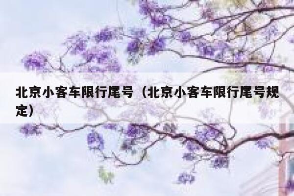 北京小客车限行尾号（北京小客车限行尾号规定）  第1张