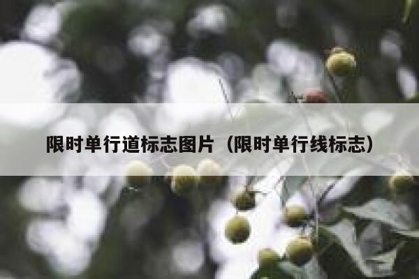 限时单行道标志图片（限时单行线标志）  第1张