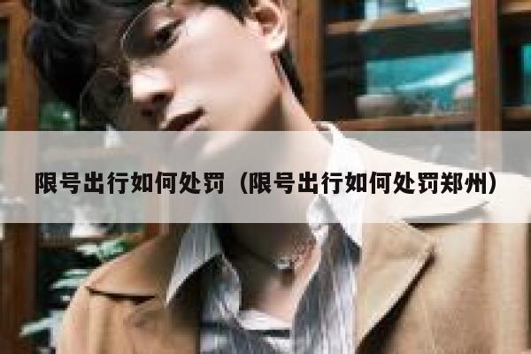 限号出行如何处罚（限号出行如何处罚郑州）  第1张