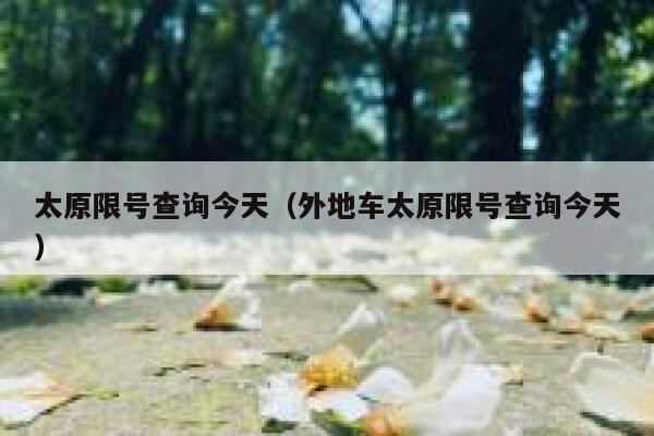 太原限号查询今天（外地车太原限号查询今天）  第1张