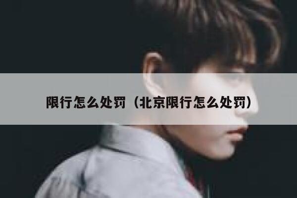 限行怎么处罚（北京限行怎么处罚）  第1张