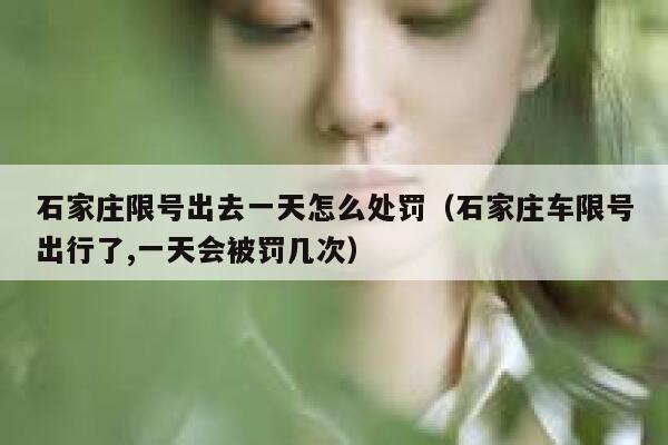 石家庄限号出去一天怎么处罚（石家庄车限号出行了,一天会被罚几次）  第1张