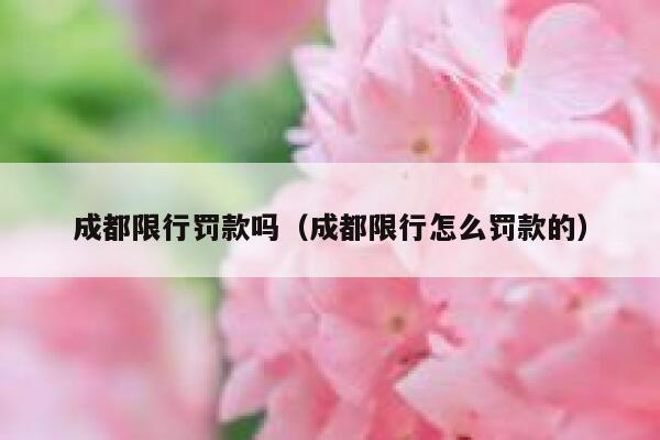 成都限行罚款吗（成都限行怎么罚款的）  第1张