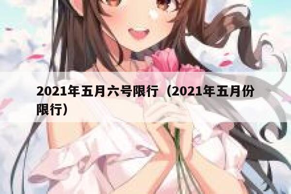 2021年五月六号限行（2021年五月份限行）  第1张