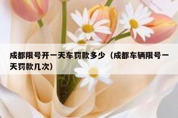 成都限号开一天车罚款多少（成都车辆限号一天罚款几次）  第1张