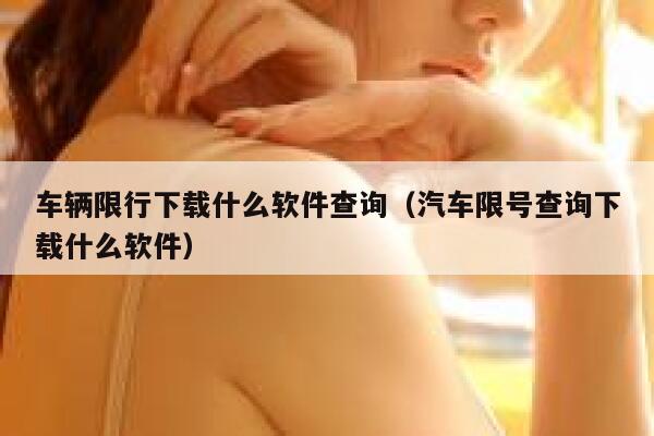 车辆限行下载什么软件查询（汽车限号查询下载什么软件）  第1张