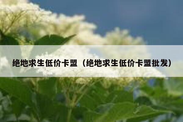 绝地求生低价卡盟（绝地求生低价卡盟批发）  第1张