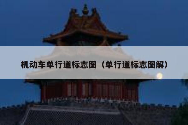 机动车单行道标志图（单行道标志图解）  第1张