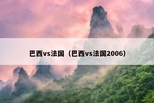 巴西vs法国（巴西vs法国2006）  第1张