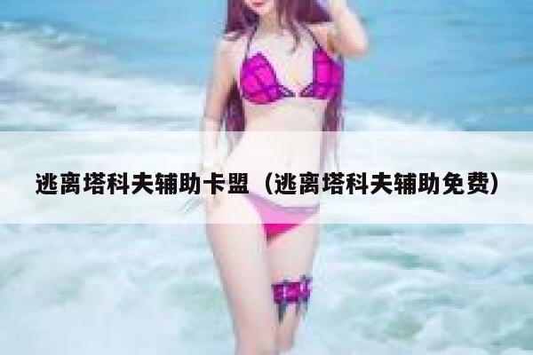 逃离塔科夫辅助卡盟（逃离塔科夫辅助免费）  第1张