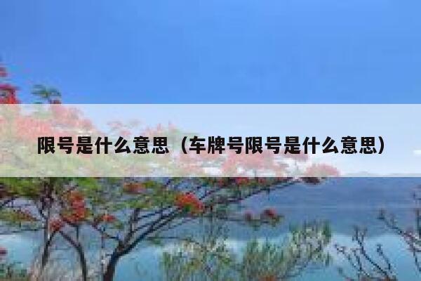 限号是什么意思（车牌号限号是什么意思）  第1张