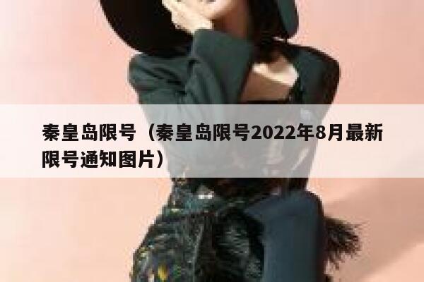 秦皇岛限号（秦皇岛限号2022年8月最新限号通知图片）  第1张