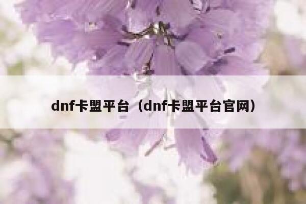 dnf卡盟平台（dnf卡盟平台官网）  第1张