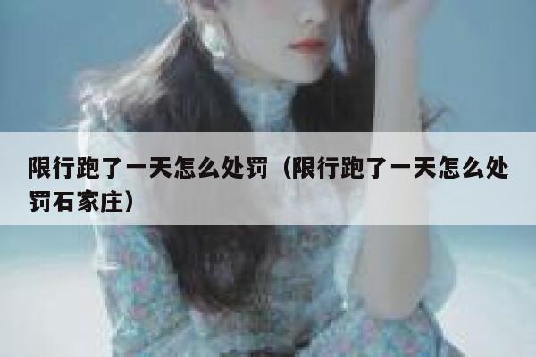 限行跑了一天怎么处罚（限行跑了一天怎么处罚石家庄）  第1张