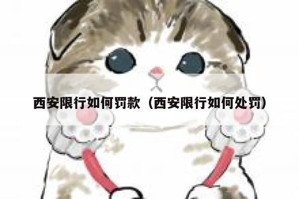 西安限行如何罚款（西安限行如何处罚）  第1张