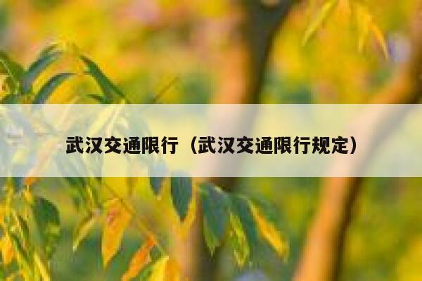 武汉交通限行（武汉交通限行规定）  第1张