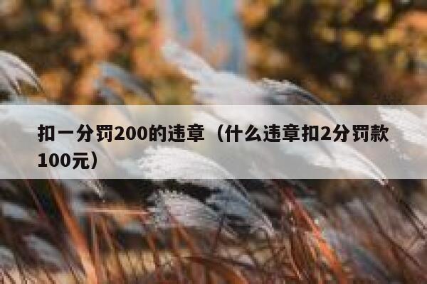扣一分罚200的违章（什么违章扣2分罚款100元）  第1张