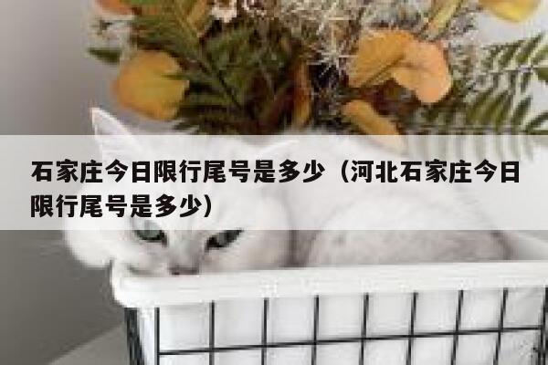 石家庄今日限行尾号是多少（河北石家庄今日限行尾号是多少）  第1张