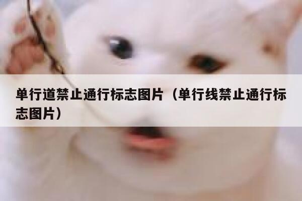 单行道禁止通行标志图片（单行线禁止通行标志图片）  第1张