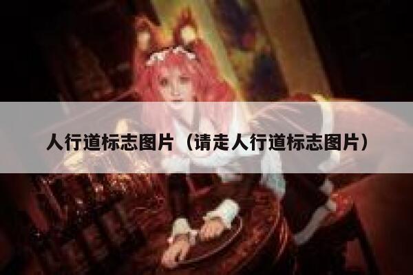 人行道标志图片（请走人行道标志图片）  第1张